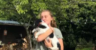 avatar petsitter