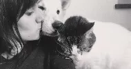 avatar petsitter
