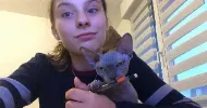 avatar petsitter