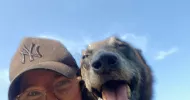 avatar petsitter