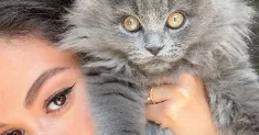 avatar petsitter