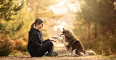 avatar petsitter