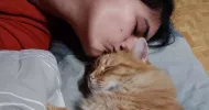 avatar petsitter