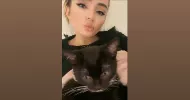 avatar petsitter