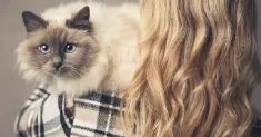 avatar petsitter