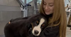avatar petsitter