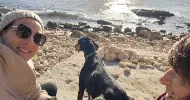 avatar petsitter