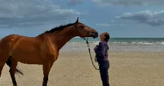 avatar petsitter