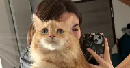 avatar petsitter