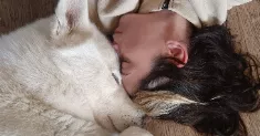 avatar petsitter