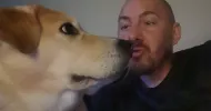 avatar petsitter