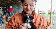 avatar petsitter