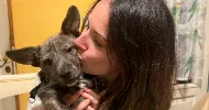 avatar petsitter