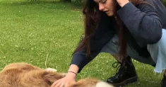 avatar petsitter