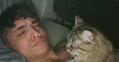 avatar petsitter