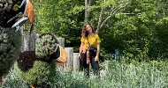 avatar petsitter