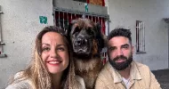 avatar petsitter