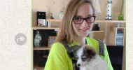 avatar petsitter