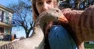 avatar petsitter