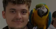 avatar petsitter