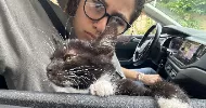 avatar petsitter