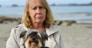 avatar petsitter