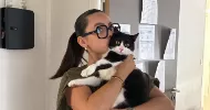 avatar petsitter
