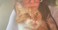 avatar petsitter