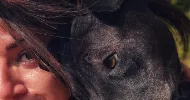 avatar petsitter