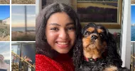 avatar petsitter