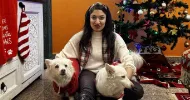 avatar petsitter