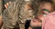 avatar petsitter