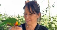 avatar petsitter