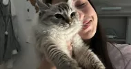 avatar petsitter