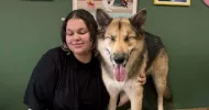 avatar petsitter