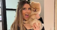avatar petsitter