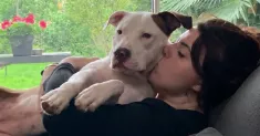 avatar petsitter