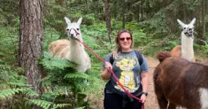 avatar petsitter