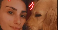 avatar petsitter