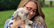 avatar petsitter