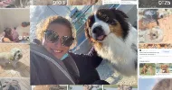 avatar petsitter