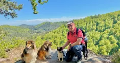 avatar petsitter