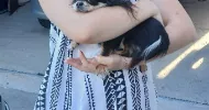 avatar petsitter