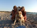 avatar petsitter