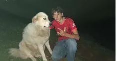 avatar petsitter
