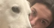 avatar petsitter