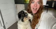 avatar petsitter