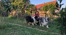 avatar petsitter