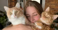 avatar petsitter