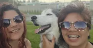 avatar petsitter